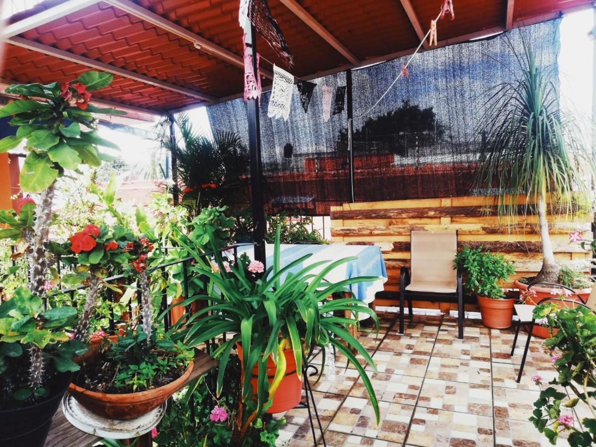 Hotel El Rincon De Dona Bety Oaxaca Esterno foto